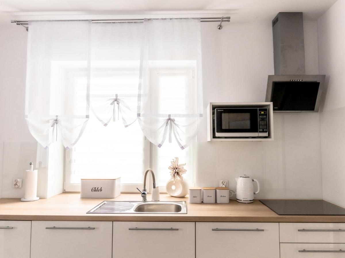 Oldrzychowice KlodzkieApartament Pod Lasemアパートメント エクステリア 写真