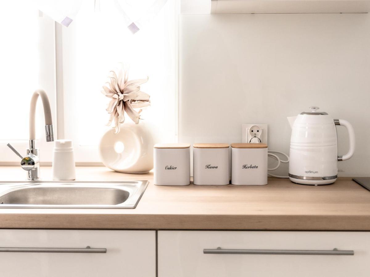 Oldrzychowice KlodzkieApartament Pod Lasemアパートメント エクステリア 写真