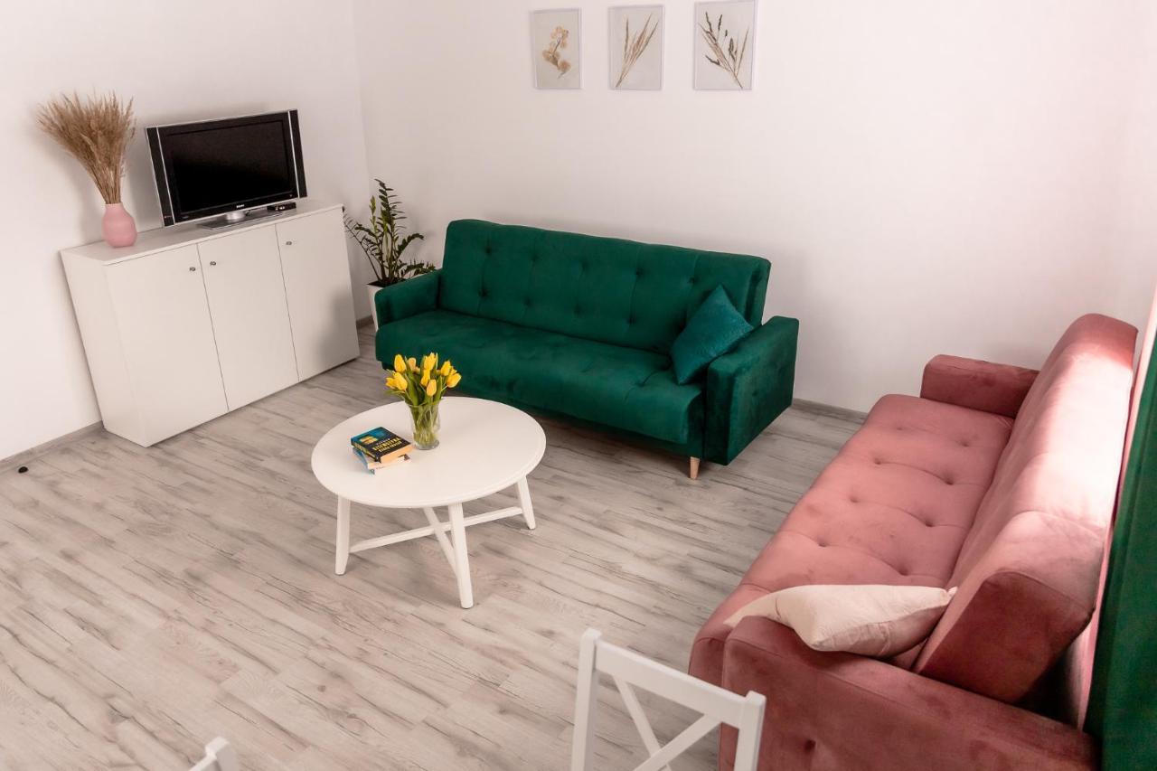 Oldrzychowice KlodzkieApartament Pod Lasemアパートメント エクステリア 写真