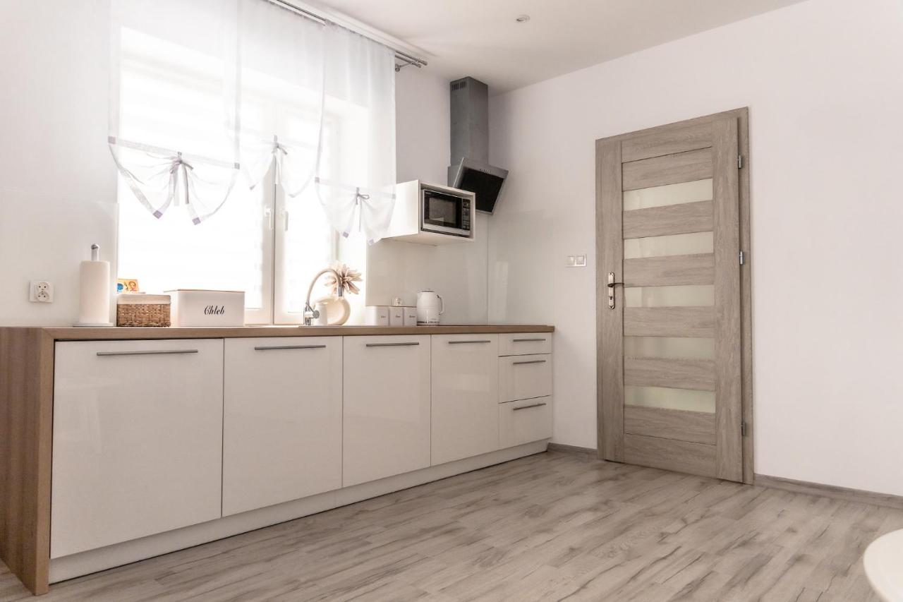 Oldrzychowice KlodzkieApartament Pod Lasemアパートメント エクステリア 写真